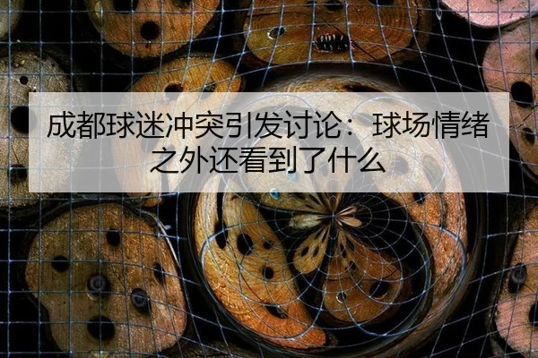 cheng-du-qiu-mi-chong-tu-yin-fa-tao-lun-qiu-chang-qing-xu-zhi-wai-hai-kan-dao-le-shen-me-2-258.jpg